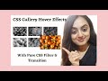 How to create  image hover effects using CSS3 | With Pure CSS Filter & Transition