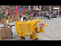 2025 malaysia lion dance championship 全国传统南狮赛 @ pavilion bukit jalil 茨廠街漢壽堂文化體育會