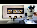 Phonefix Trinocular Stereo Microscope