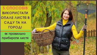 Що робити з опалим листям восени?🍂 5 ефективних способів застосування в саду та на городі