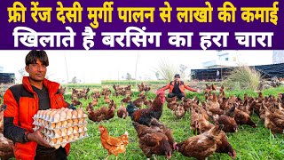 फ्री रेंज Desi Poultry Farm से कमा रहे हैं अच्छा Profit | Desi Murgi Palan  Free Range Poultry Farm