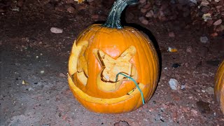 FIREWORK PUMPKINS
