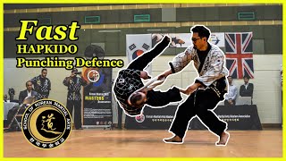 How to defend a punch \u0026 How to do Hapkido belt techniques