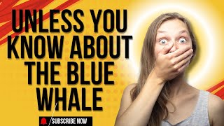 What you don't know about the blue whale