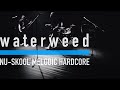 waterweed - Music is Music (Music Video)