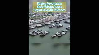 Fishing moratorium ends, fishing season begins in South China Sea #china #fyp #season #moratorium