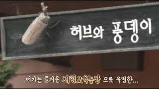 안성농업기술센터 안성맞춤 온라인 농촌체험 \