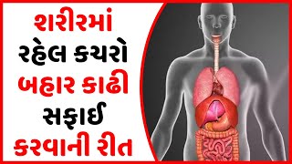 શરીરમાં રહેલ કચરો બહાર કાઢી સફાઈ કરવાની રીત | Gujarati Health Tips