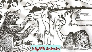 నక్కతోక మహిమ || Nakka Thoka Mahima || Tenali Ramakrishna Stories || Episode 7 || @anveshana94