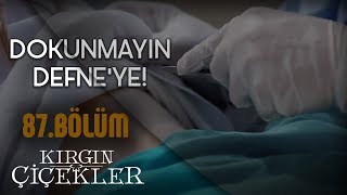 Kızlar mafyanın elinden kurtulabilecek mi? - Kırgın Çiçekler 87.Bölüm