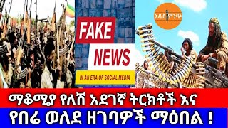 ማቆሚያ የለሽ አደገኛ ትርክቶች እና የ'በሬ ወለደ' ዘገባዎች ማዕበል !