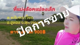 💥ที่ดินแบ่งล๊อค💥1 -2 ไร่ ต.พลับพลาไชย อ.อู่ทอง จ.สุพรรณบุรี