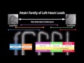 Attain®Ability Straight Model 4196 Left Heart Lead for CRT Implantation - small to medium (For impl