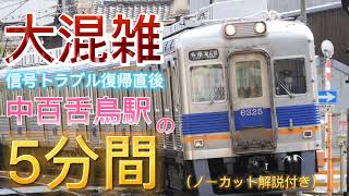 【南海高野線】信号トラブル後の大渋滞の様子を中百舌鳥で撮影!!6200系、6300系、30000系他