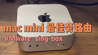 Mac mini才是最佳旁路由｜如何用VMware和sing-box，把mac mini打造成旁路由，工作和科学上网两不误（sing-box、docker、Mac mini VMware）