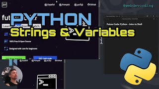 Python - Beginners - Shell Strings and Variables