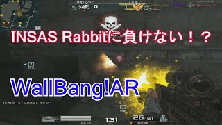 【AVA】いろぶき！兎よりも強いのか！？どっちが強いのか・・・【XCR XX vs INSAS Rabbit】