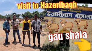 gaushala Hazaribagh Jharkhand vlog video Hazaribagh#gaushala#hazaribagh#jhakhand