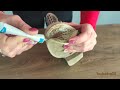 technicqll shoe adhesive how to repair shoe with adhesive