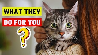 15 Things Your Cats Do for You Without You Knowing|Cat Behaviour