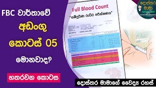 FBC වාර්තාවේ අඩංගු කොටස් මොනවාද? FBC (Part 04)