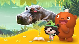 Early Learners | Why Hippos Love Water | Emmy\u0026GooRoo Nature Class | Kids Cartoons [SUBS]