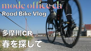 多摩川サイクリングロード　春を探して