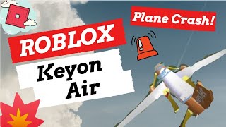 Roblox Airline Owner Abuses Admin And Bans Staff Member - 