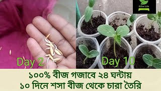 শসা এর বীজ লাগানোর নিয়ম, শসা চাষ পদ্ধতি start cucumber seed