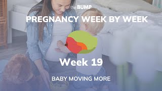 Pregnancy Week 19 | Baby Moving More | Pregnancy Week By Week