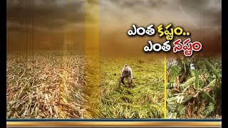 JaiKisan TS | 2nd Apr '18 | అకాల వర్షాలకు అపార నష్టం