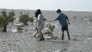 On the FunYuan Intertidal Zone, Taiwan