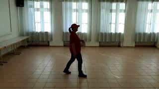 Triple You Lernvideo Teach & Dance Line Dance Biene Teil 1