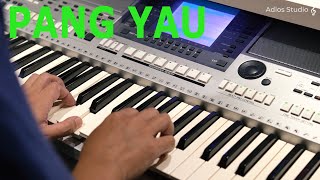 ( 朋友 )Pang Yau | Friend of mine - Alan Tam (Cover)