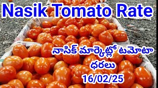 16 February 2025|| today Tomato rate in Nashik market| Nasik tamatar rate today | Maharashtra🍅