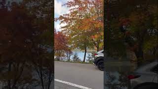 CX30 紅葉ドライブ🍁　女神湖の紅葉と湖面への映り込み　2022/10/16