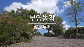 정원 투어 | 40여년의 역사를 가진 제주도 힐링과 치유의 자연 정원 부영농장