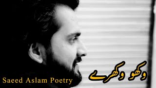 Wakho Wakhray | Saeed Aslam Poetry | Saeed Aslam Punjabi Poetry Whatsapp Status | Punjabi Shayari