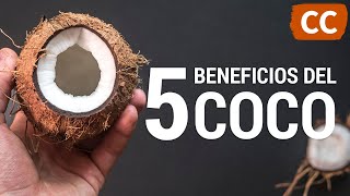 5 Beneficios del Coco | Ciencia de la Comida