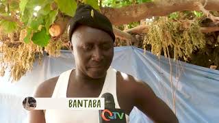 BANTABA BASSE KABAKAMA 08.03.2020