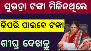 ସୁଭଦ୍ରା ଟଙ୍କା ମିଳିନଥିଲେ କେମିତି ମିଳିବ ଆସିଲା ସୂଚନା / ଶୀଘ୍ର ଜାଣନ୍ତୁ / Subhadra Yojana New Notice