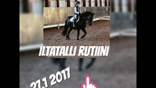 🐴ILTATALLI RUTIINI🐴