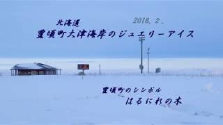 2018年大津海岸のジュエリーアイス