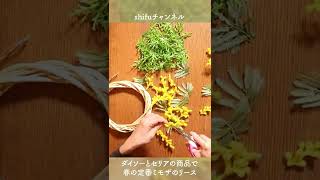 1分で分かる！ダイソーとセリアの商品で春の定番ミモザのリース/Daiso and Ceria products for spring classic mimosa wreath#shorts