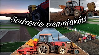 Sadzenie ziemniaków 💥GR Stanek ~Zetor 5340\u0026Sadzarka Structural 🔥