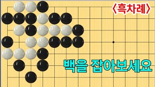 유단자사활 #78 (3단이상)