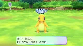 【ピカブイ】色違いポケモン リザードンで空を飛ぶ【ポケモン】