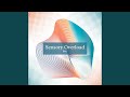 Sensory Overload (Extended Mix)