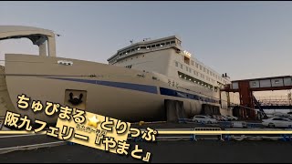 【4K 阪九フェリー『やまと』 新門司↔ 神戸】九州と大阪・神戸を結ぶ、快適クルージング