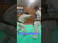 【武道】どの武道のパンチが正しいの！？ aikido ＃karate martial 合気道 武道 空手